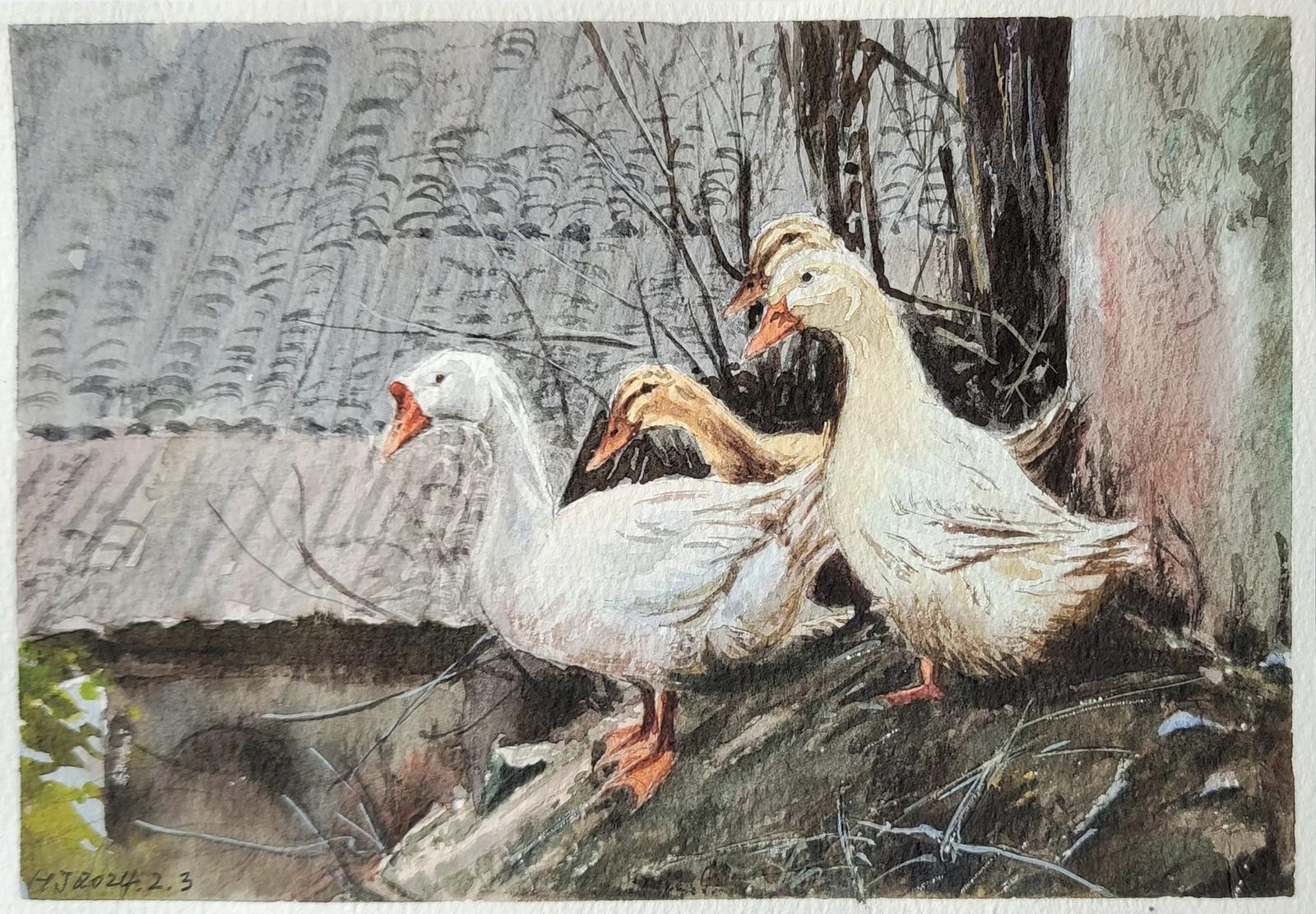 Watercolor of white geese on a tiled roof edge